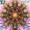 Download track Hallucinations