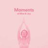 Download track Moments Of Bliss