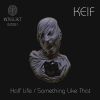 Download track Something Like That (Original Mix)