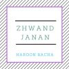 Download track Tappy Zhwand Janan