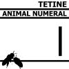 Download track Animal Numeral