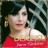 Download track Dağlarına Dargınım