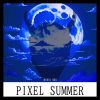 Download track PIXEL SUMMER (Slowed + Reverb)