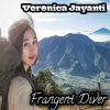 Download track Frangent Diver