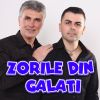 Download track Zorile Din Galati