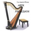 Download track Fantasia Paraguaya