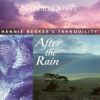 Download track After The Rain