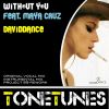 Download track Without You (Instrumental Mix)