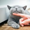 Download track Music For Cats To Relax At Home