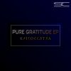 Download track Pure Gratitude (Main Mix)