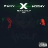 Download track Wolf (Extended Mix)