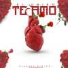 Download track Te Amo