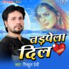 Download track Tadpela Dil