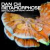 Download track Metamorphose (The Electronic Advance Remix)