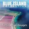 Download track The Spirit Of Bonaire (VOB's RT Remix)