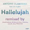 Download track Hallelujah (Utik Poolemusic Team Remix)