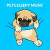 Download track Sleepy Music For Dogs