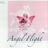 Download track Angel Flight