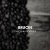 Download track Brucin