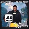 Download track Project Dreams