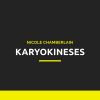 Download track Karyokineses