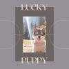 Download track About The Pup