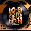 Download track Lo-Fi Selection Hits 133