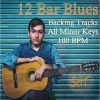 Download track 12 Bar Blues Backing Track In D Minor 100 BPM, Vol. 1