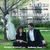 Download track Sonata For Cello And Piano: III. Adagio