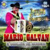 Download track El Sombrerito Blanco