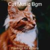 Download track Exquisite Solo Piano Jazz - Vibe For Cats