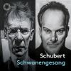 Download track Schwanengesang, D. 957 No. 11, Die Stadt