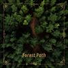 Download track Forest Path N°4