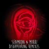 Download track Disappearing (Erot Remix)