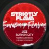 Download track Burnin City (PHO. NX Remix)