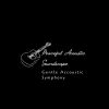 Download track Acoustic Serenity Symphony