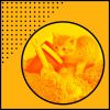 Download track Fiery Ambience For Cute Kitten