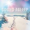 Download track Relaxing Rustling Pine Needles Winter Ambience, Pt. 4