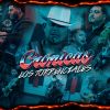 Download track Gavilan II (En Vivo)