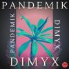 Download track Pandemik (Radio Edit)