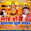 Download track Navmi Pujanma