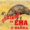 Download track Zezinho Da Ema Na Vaquejada