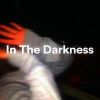 Download track In This Darkness (Sped Up) (Remix)