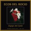 Download track El Espejo Del Cante