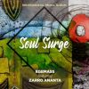 Download track Soul Surge