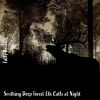 Download track Soothing Deep Forest Elk Calls At Night, Pt. 11