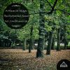 Download track A Place Of Magic: The Enchanted Wood (Continuous Dj Mix # 2)