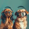 Download track Calming Canine Nighttime Harmony