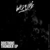 Download track THUNDER