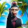 Download track Vibe With The Tribe (Instrumental)